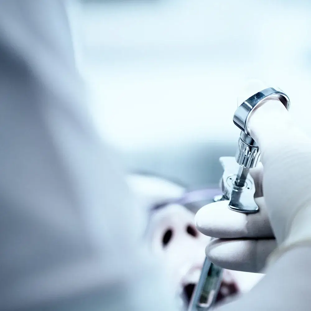 dental-sedation-jul23